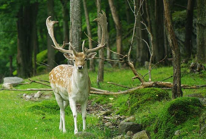 파크 오메가 parc omega